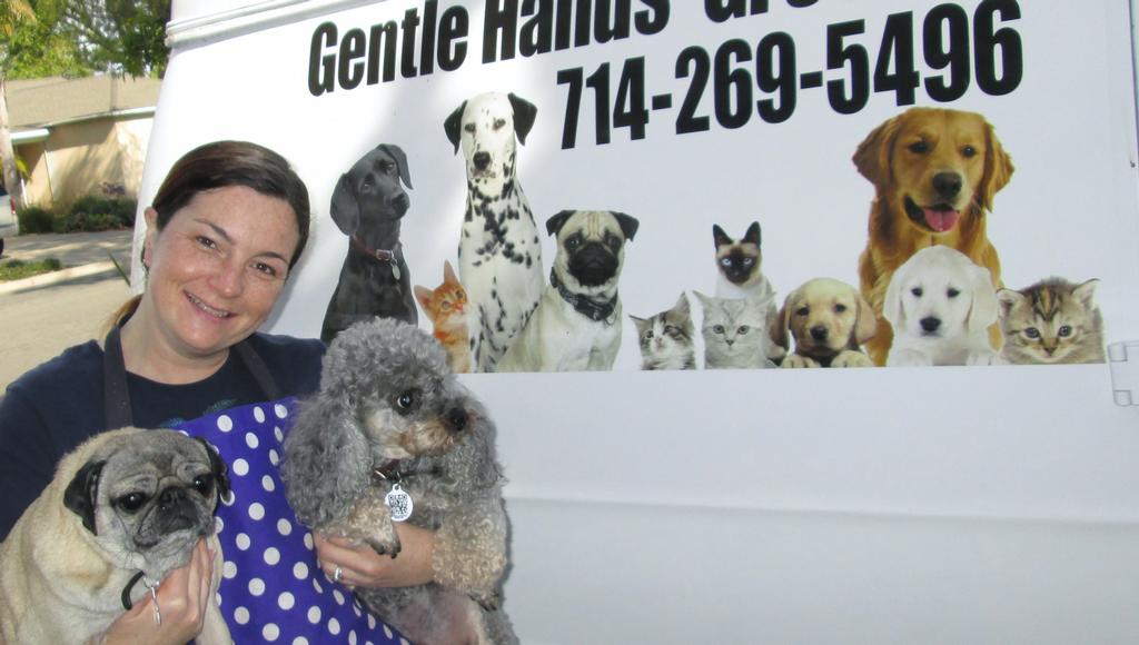 Gentle Hands mobile grooming Costa Mesa CA 92627 7142695496